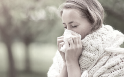 Spring is Back, so are Allergies…