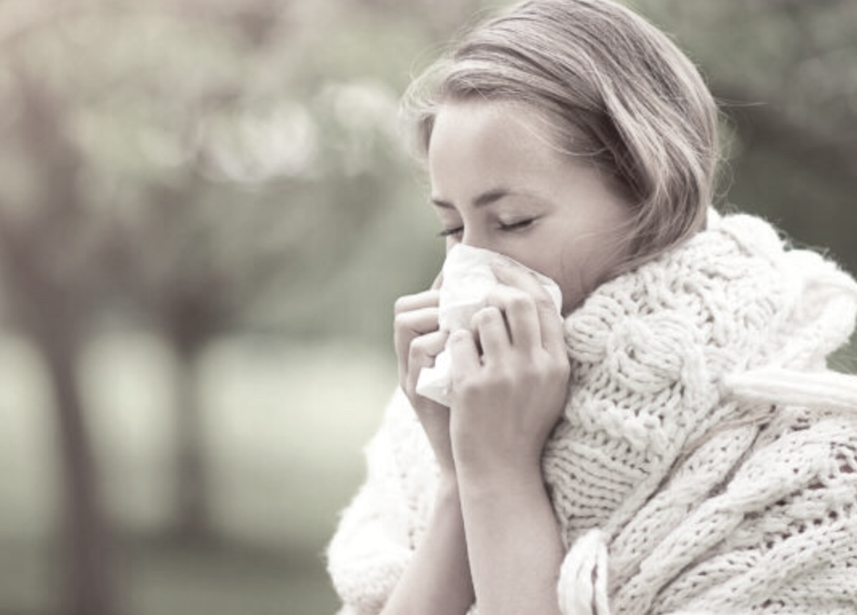 Spring is Back, so are Allergies…