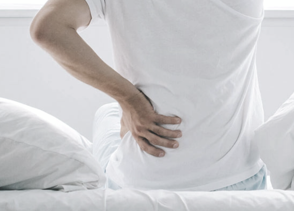 A big culprit – lower back pain