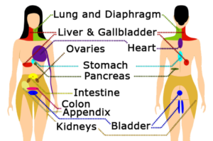 Referred Pain: What It Is, Causes, Treatment & Common Areas